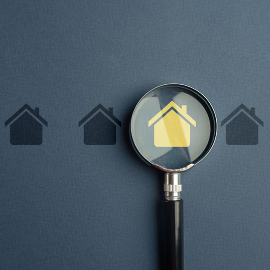 c.a.r. real estate Mold Protecting Yourself and Clients