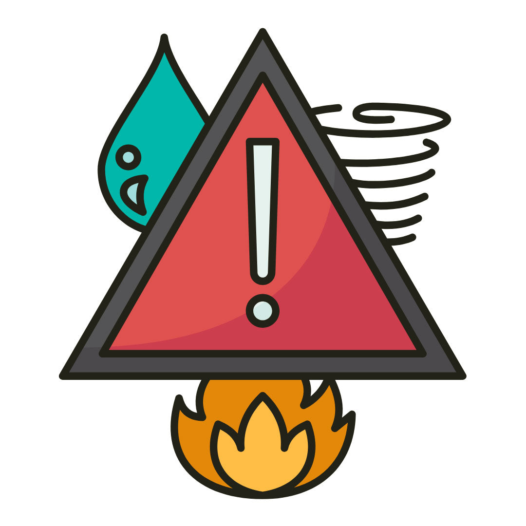 The Role of a REALTOR® in Disasters (DPK 1) - ONLINE ANYTIME